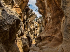 Willis Creek Slot Canyon