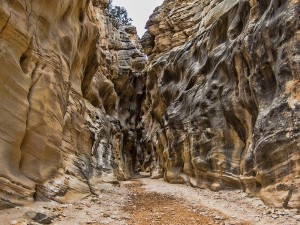 Willis Creek Slot Canyon