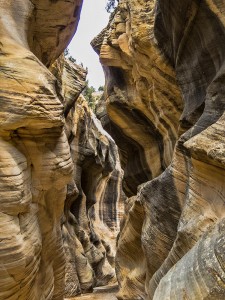 Willis Creek Slot Canyon