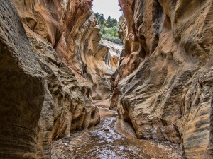 Willis Creek Slot Canyon