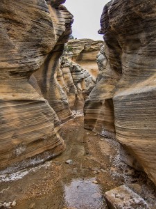 Willis Creek Slot Canyon