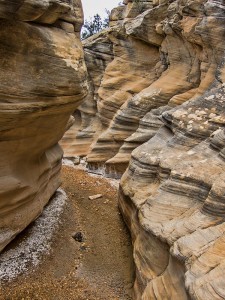 Willis Creek Slot Canyon