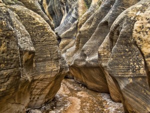 Willis Creek Slot Canyon