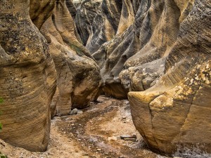 Willis Creek Slot Canyon