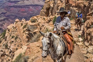 Mule Riders at Grand Canyon