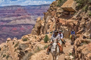 Grand Canyon Hiking Trail