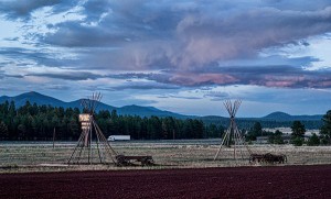 Mountain Ranch Resort outdoors