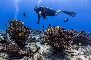 Hawaii Scuba Diving