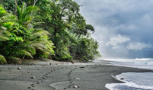 Corcovado national Park, Costa Rica