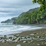 Wonderstruck Hiking in Corcovado National Park