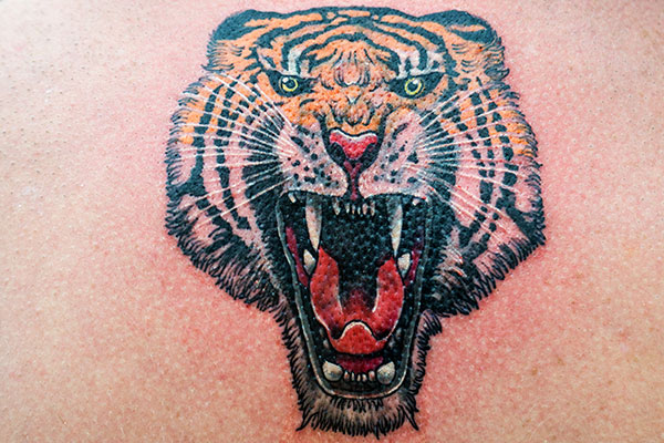 Tiger Tattoo