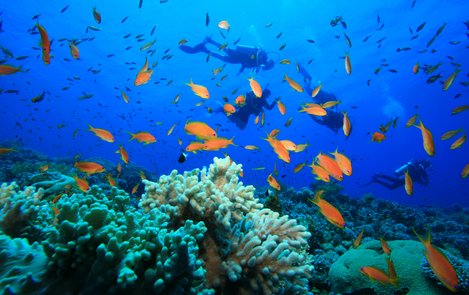 Scuba Diving Paradise – Cebu’s Hot Spots