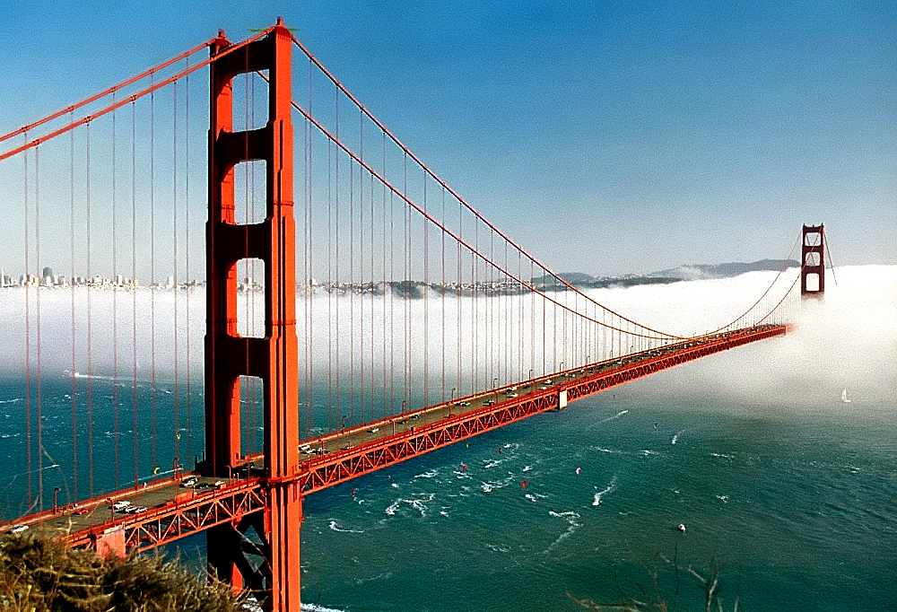 4 Great Wineries a Short Day Trip Away From San Francisco