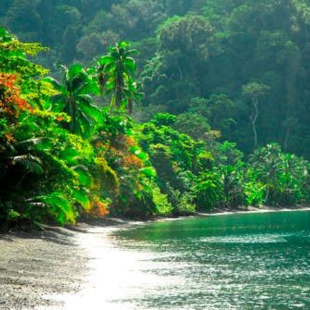 Corcovado National Park