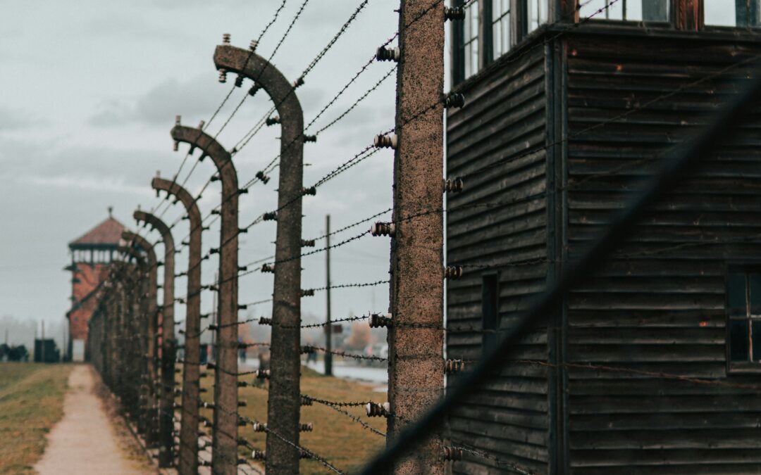 A Journey to Remember: Exploring Auschwitz with Respect and Reflection